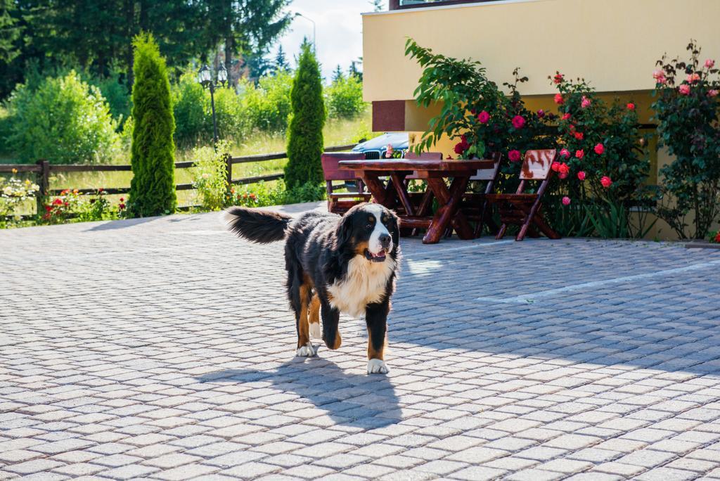 Pensiunea Orizont Poiana Brasov Luaran gambar